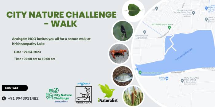 Nature Challenge Walk