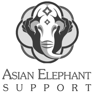 asian-elephant-support