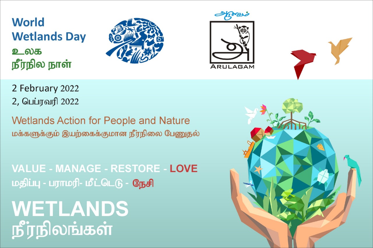 World wetlands day