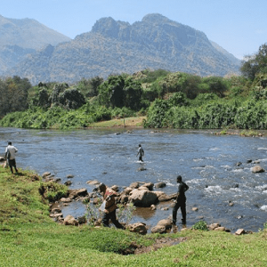 Building a Grassroots Constituency to Conserve the River Moyar in the Mysore-Nilgiri Corridor