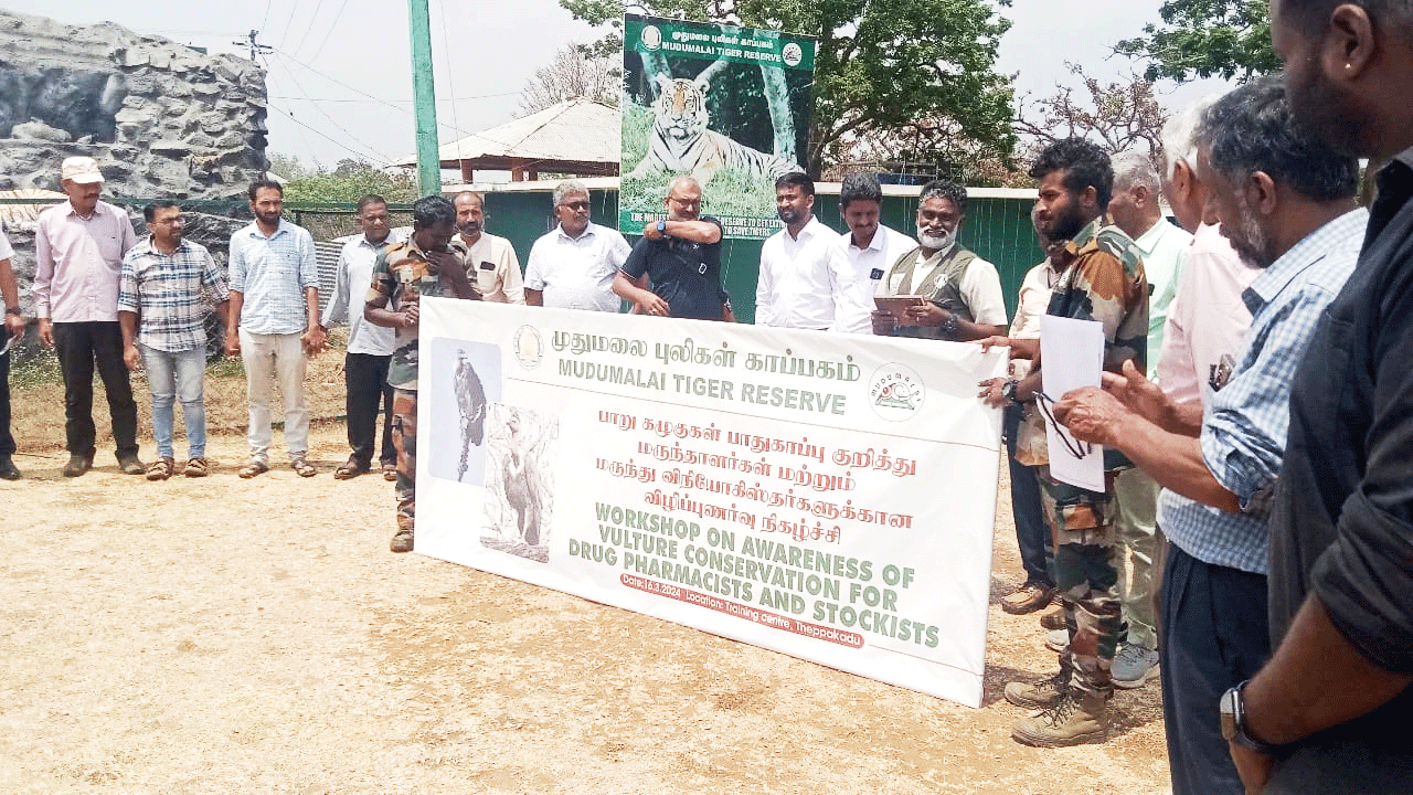 Workshop on awareness of vulture conservation for drug pharmacists and stockists