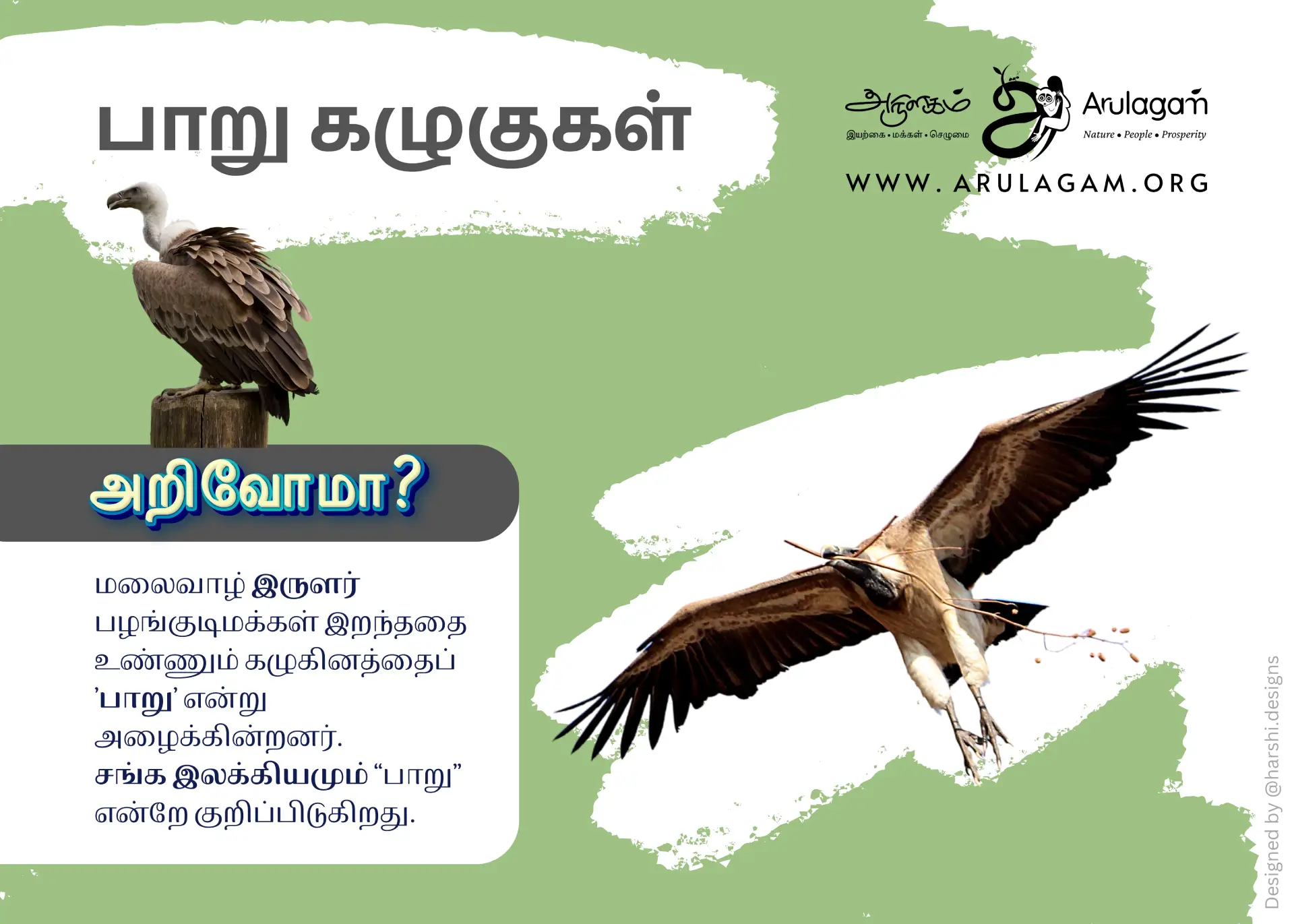 Vulture Conservation