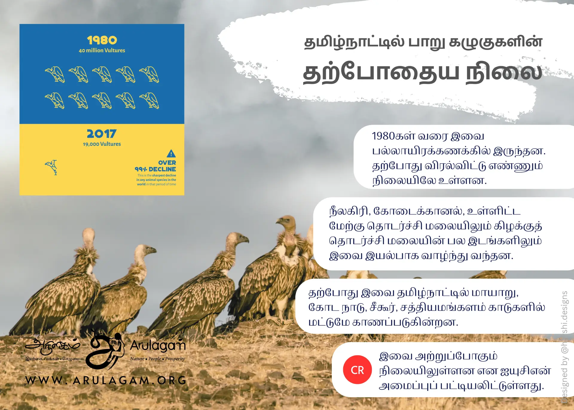 Vulture Conservation