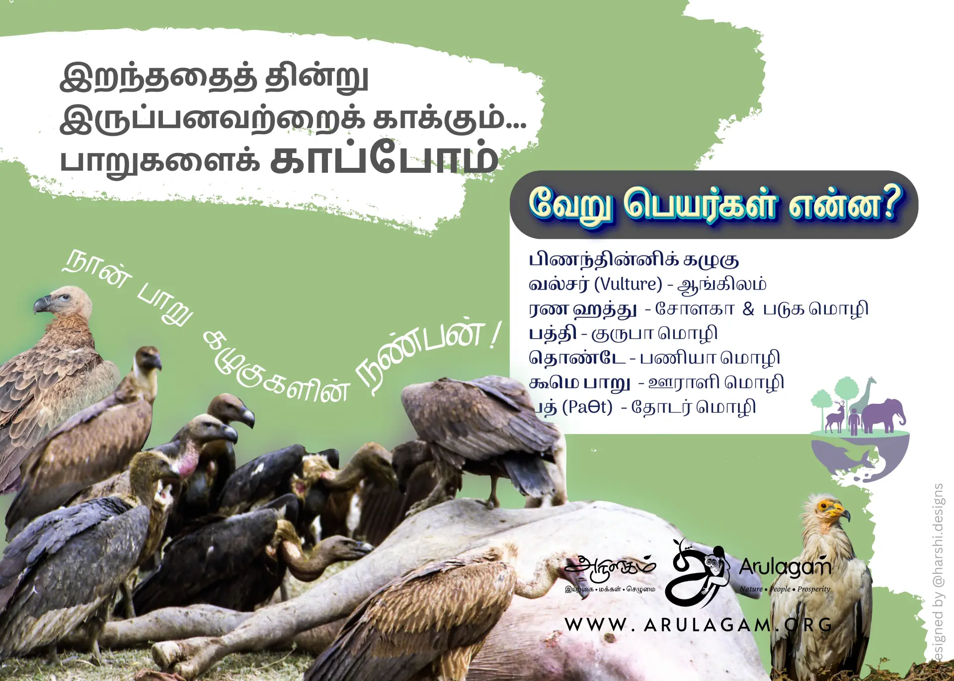 Vulture Conservation