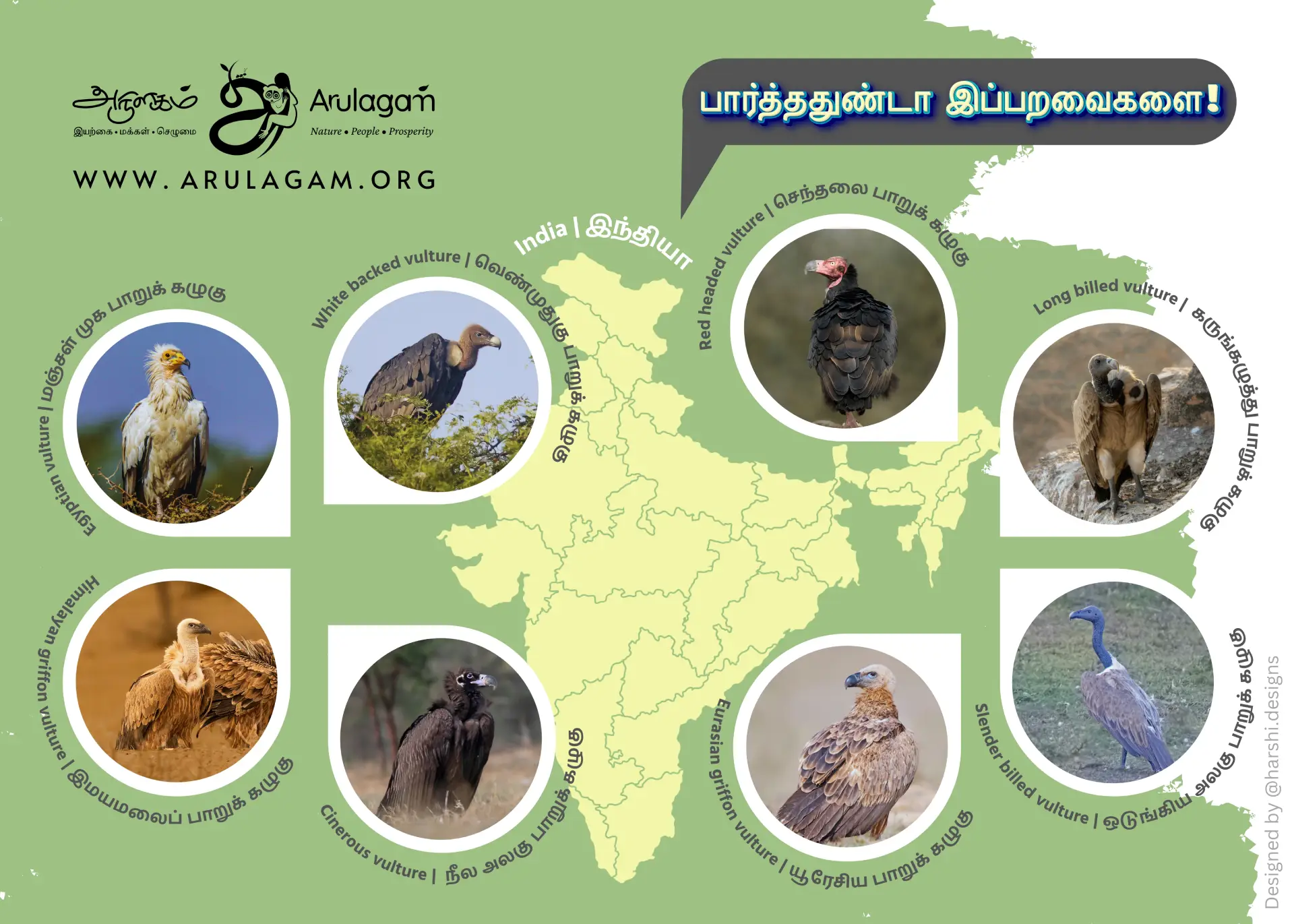 Vulture Conservation