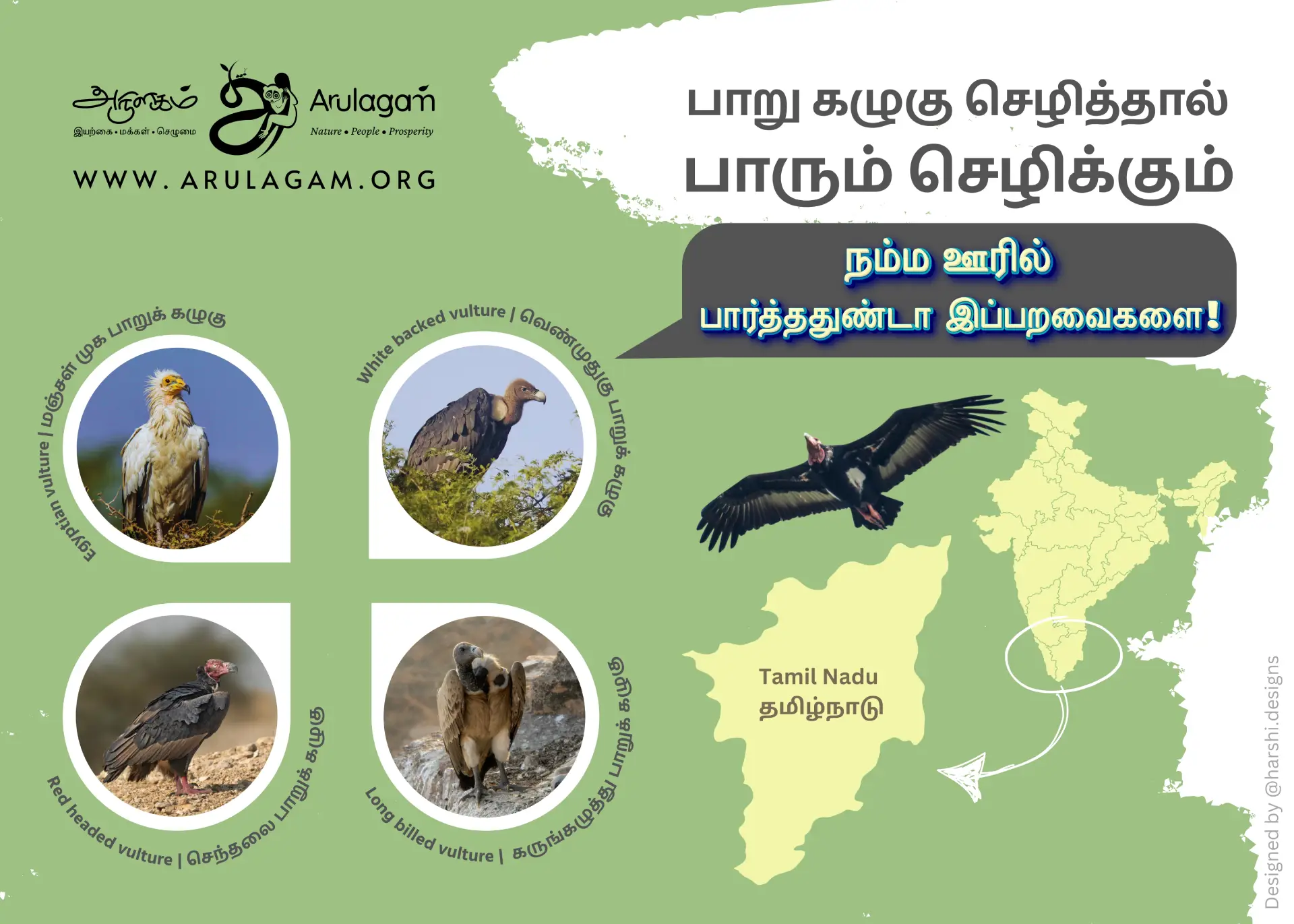 Vulture Conservation