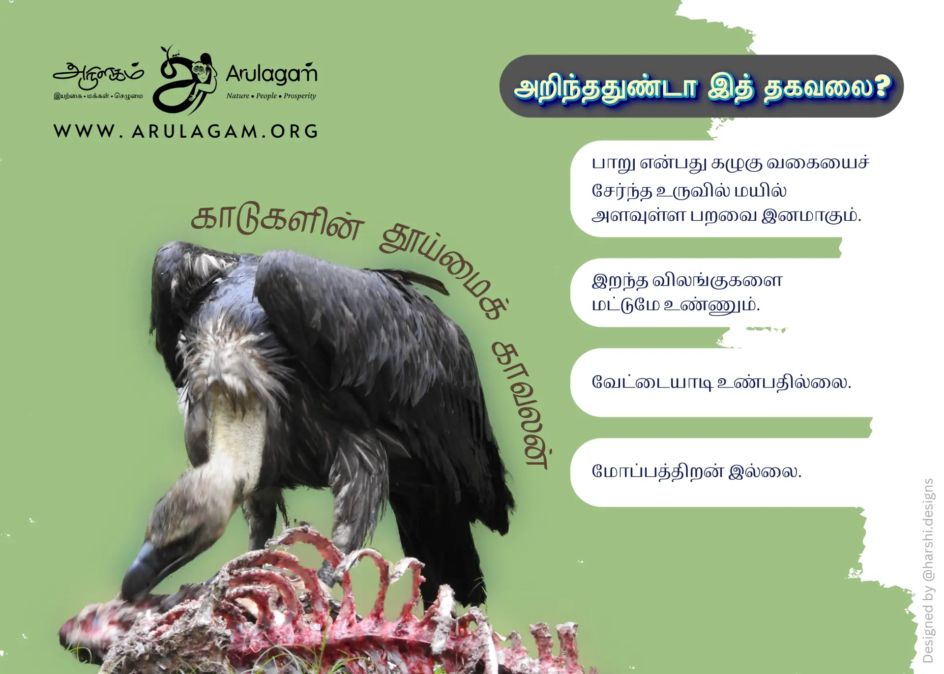 Vulture Conservation