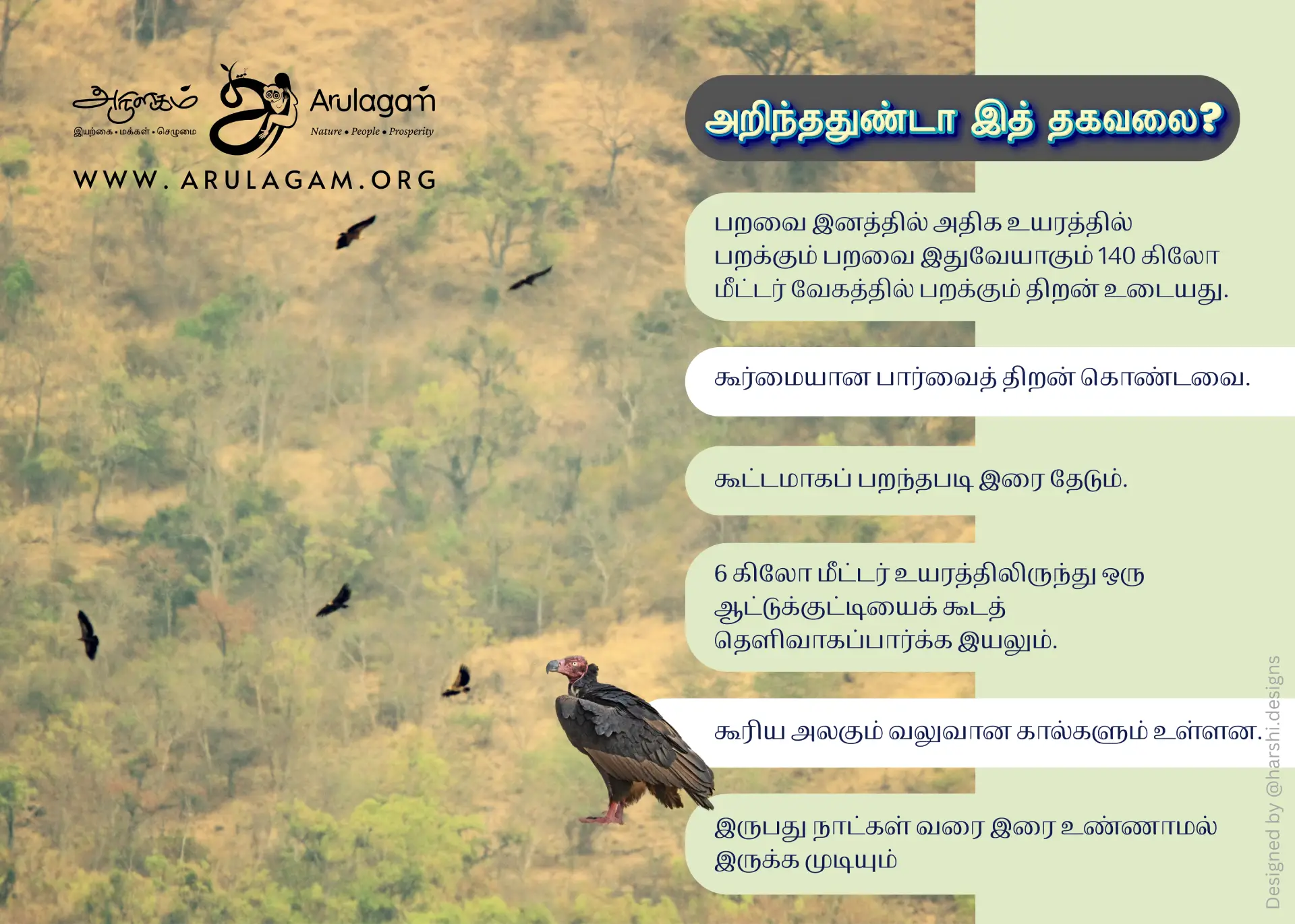 Vulture Conservation