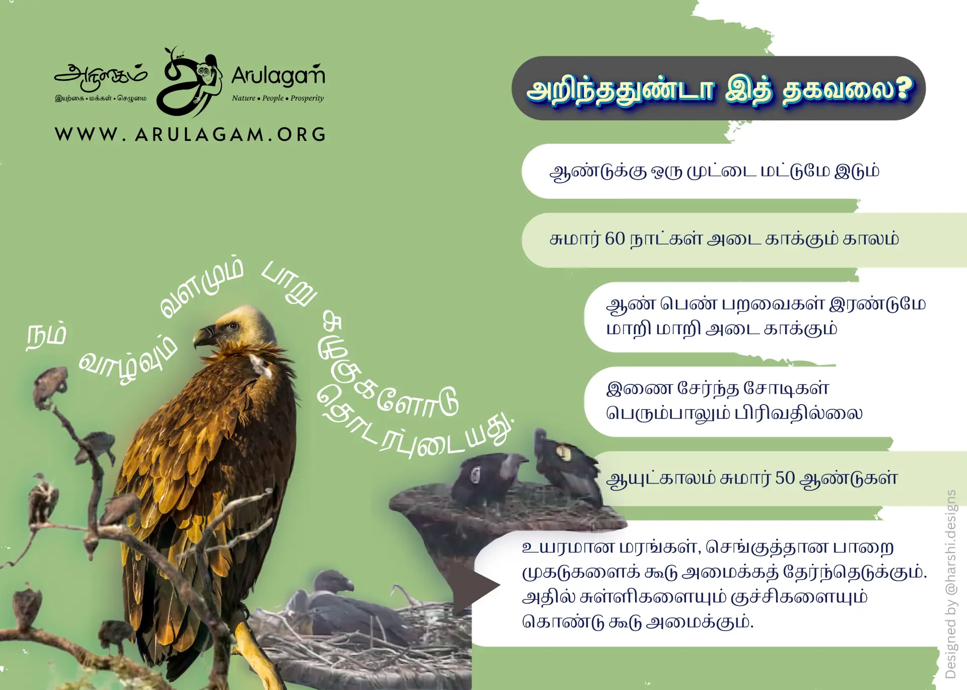 Vulture Conservation