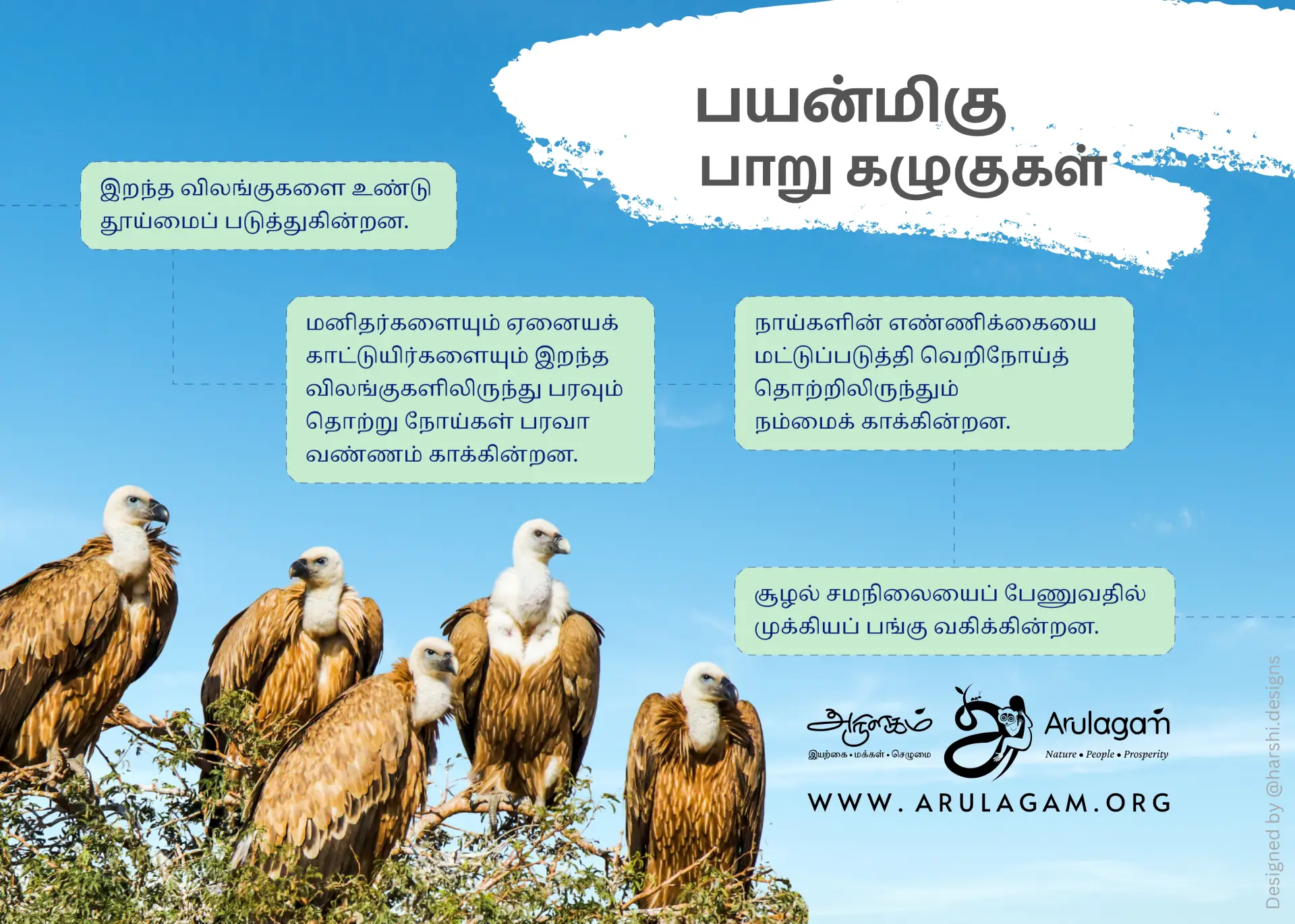Vulture Conservation