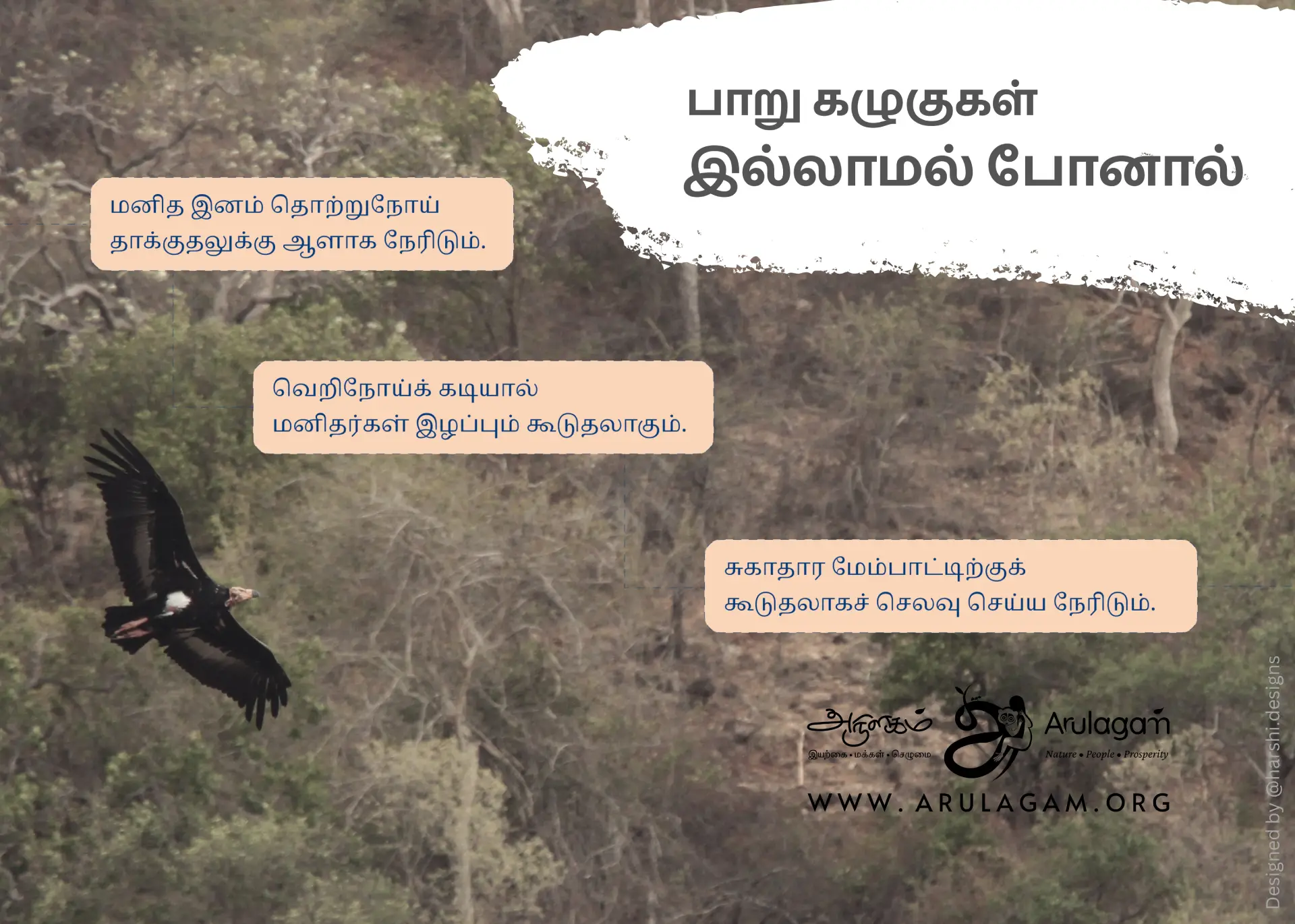 Vulture Conservation