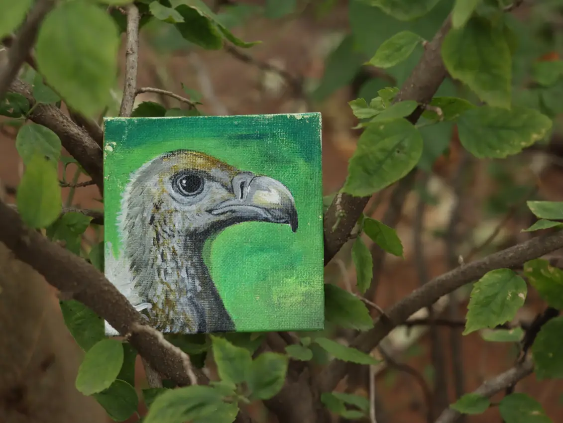 Vulture Conservation