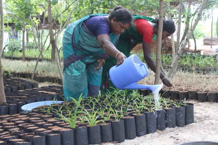 Sanddune conservation
