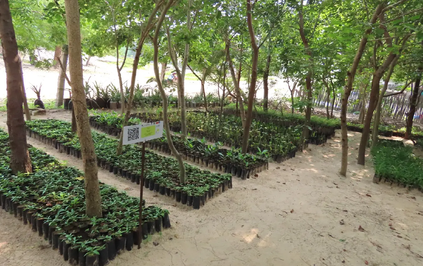 River Moyar Conservation