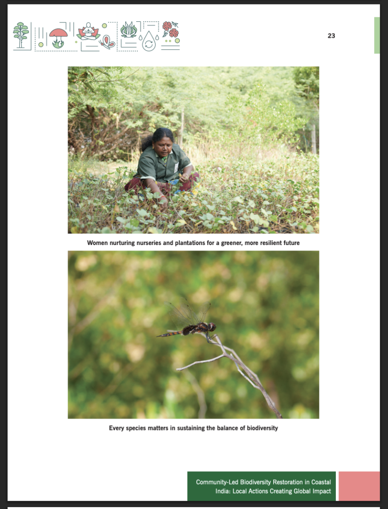 Arulagam’s Sand Dunes Project Highlighted in GEF SGP India Booklet | 22 May 2026 | Biodiversity Day